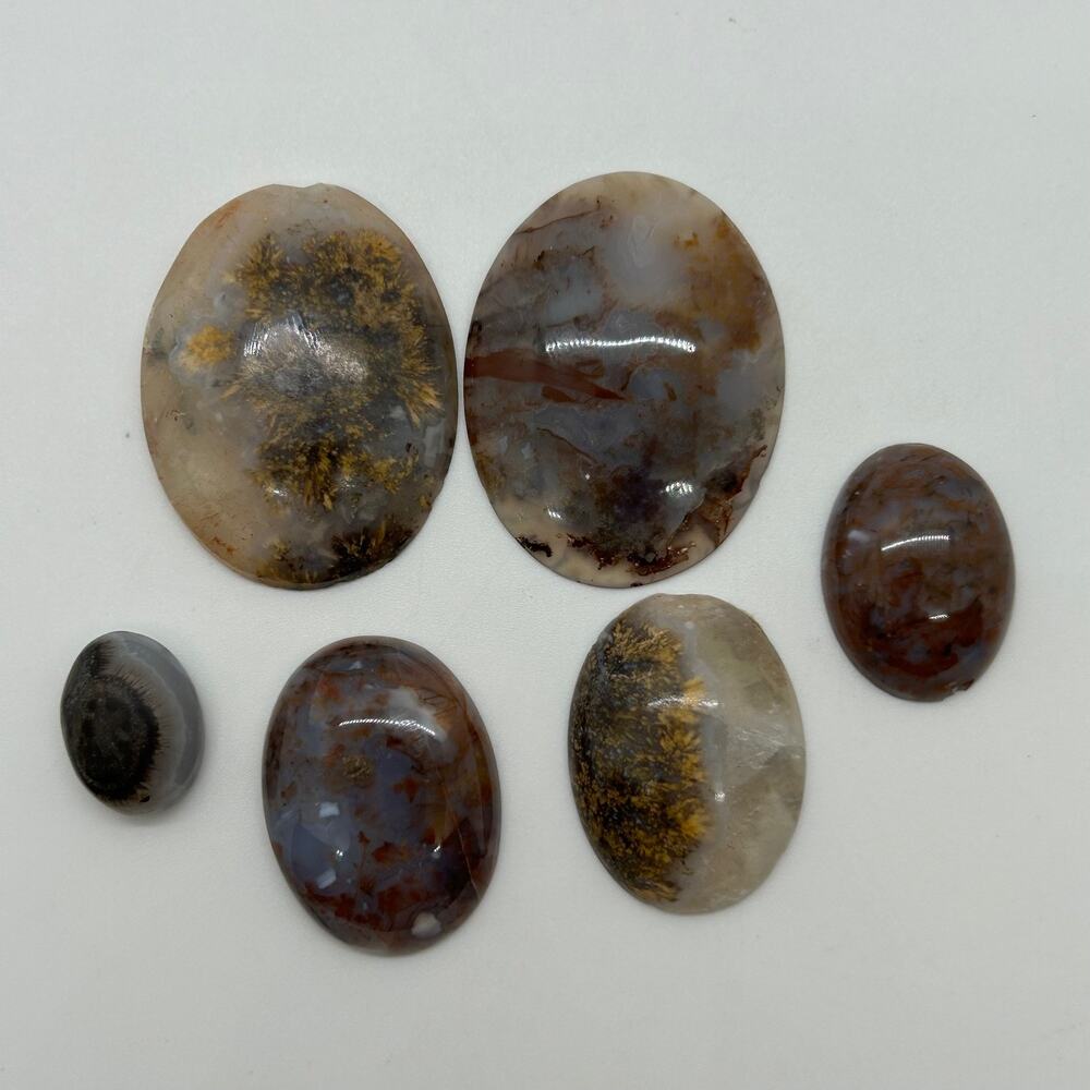 Brown Moss Agate Cabochons For Jewelry Making Lot of 6